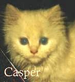 Casper