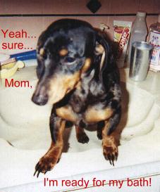Weiner Bath