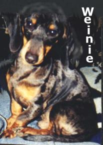 Weiner