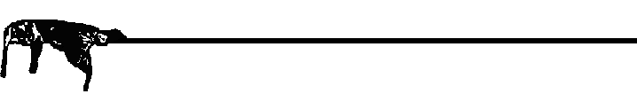 Rufus Line