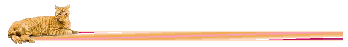 orangetabbyline