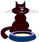 CAT_WITH_BOWL
