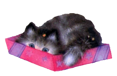 Kitbox