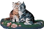 v2cats3