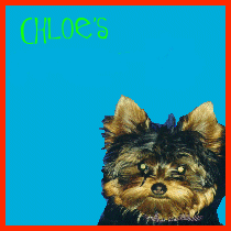Thanks a bunch, Chloe!  You're awesome!