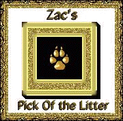 Visit Zac! He is a lot like me!