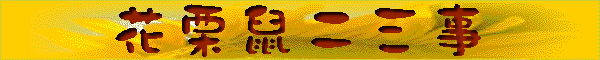 cchipfun.gif (11905 bytes)