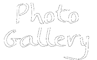Photo Gallery