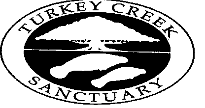 Turkey Creek Logo