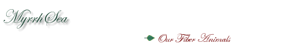 myrrhsea's Fiber Adventures logo