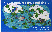 A scan of the cover of A Bluebird's First Summer