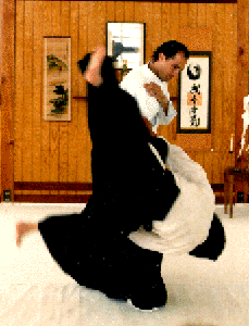 Steven performing an Aikido movement.