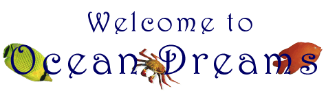 Welcome to Ocean Dreams
