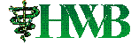 Hospital Virtual