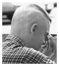 High and tight (from behind)