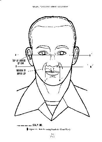 Figure 1-1.