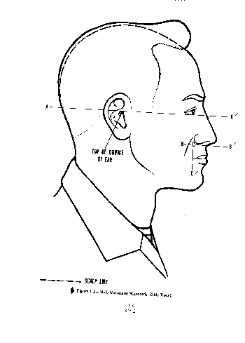 Figure 1-2.