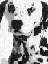 misc008.bmp (4150 bytes)