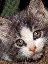 misc1.bmp (4150 bytes)