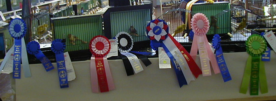 [ Type Canary Winners ]