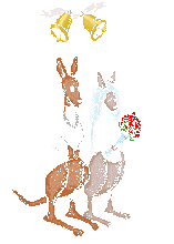 kanga_wed.gif - 7.9 K