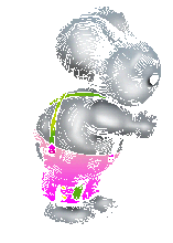 koala.gif - 10.8 K