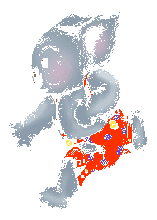 koala3.gif - 7.1 K