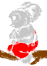 koalasit.gif - 4.1 K