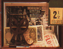 oz18.gif - 25.6 K