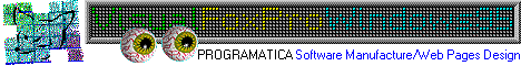 Programatica Systems's Internet Search Page