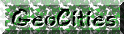 geo icon
