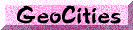 geo icon