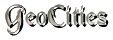 geo icon