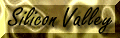 SV icon