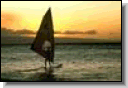 Windsurf