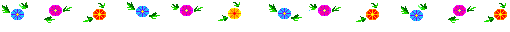 bar27.gif (5023 bytes)