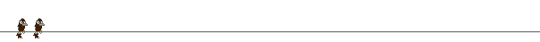 bar28.gif (5941 bytes)