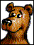 bear5.gif (5706 bytes)