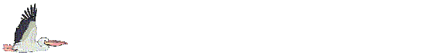 bird 9.gif (30742 bytes)