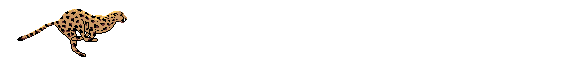 cat 10.gif (15604 bytes)
