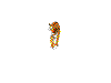 cat 4.gif (33267 bytes)