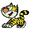 cat 5.gif (27367 bytes)