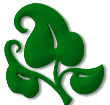ivy.gif (4894 bytes)