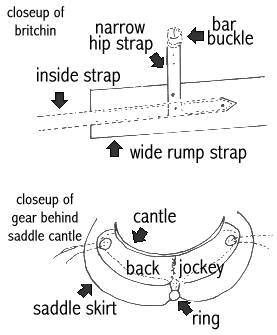 closeup of yoke and rump strap