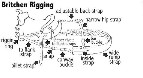 Illustration of britching gear