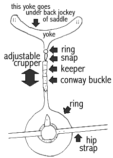 closeup of britchen topside