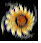 Rotating Flower