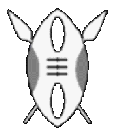Shield & Spears