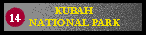 Kubah