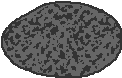 blackgrif.gif (1981 bytes)